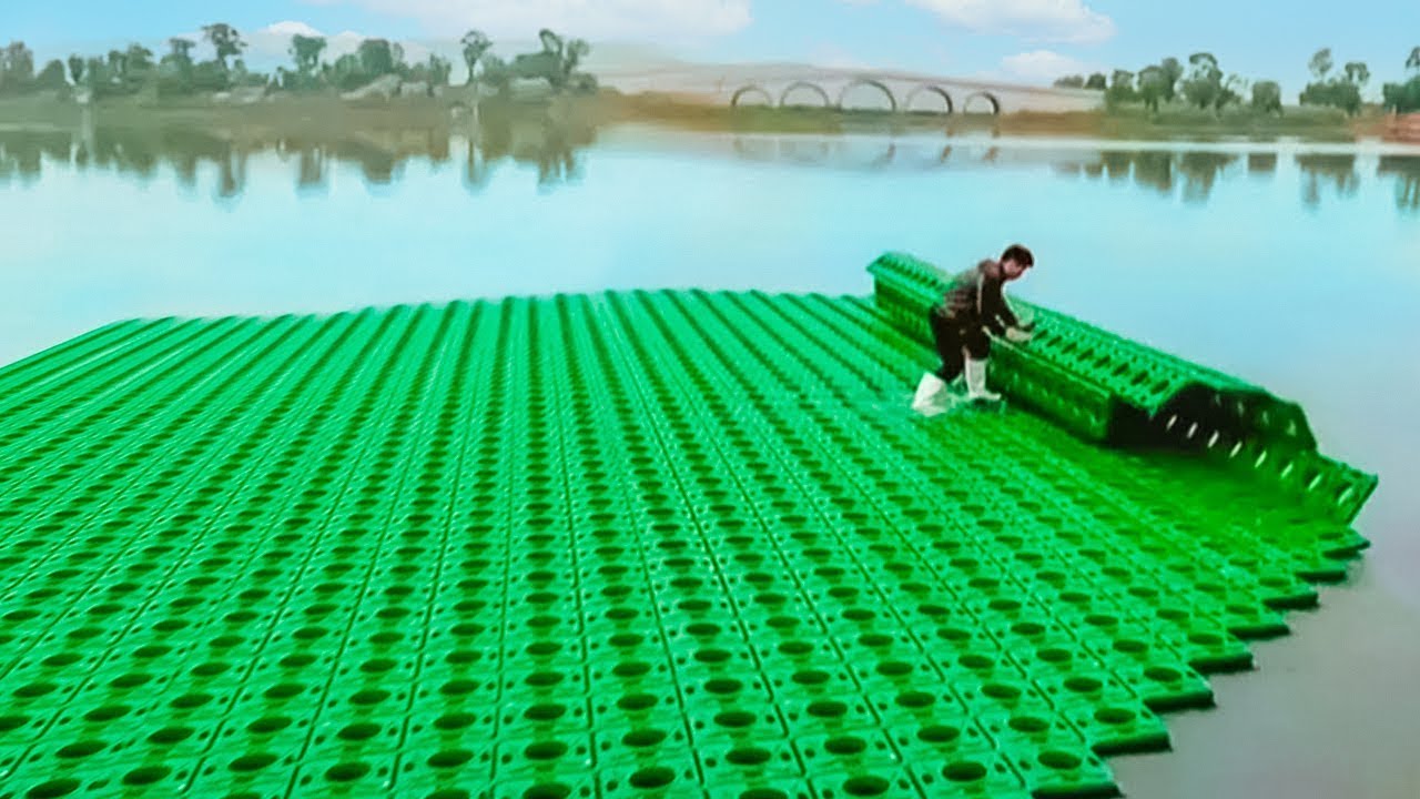 Floating Hydroponics Rice Farming: China's Eco-Friendly Agriculture