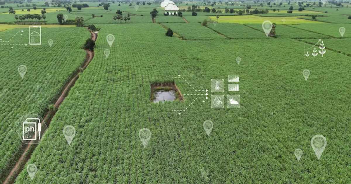 How Satellites in Haryana Farms Save ₹300 Crore Annually