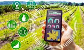 AI Can Suggest the Best Crop to Grow Based on Soil and Weather Data