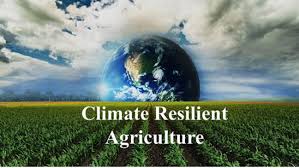 Climate-Smart Agriculture: Inside Telangana’s Tech-Driven Future