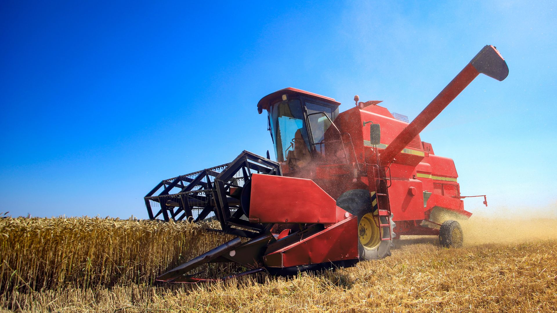 Shared Utilities, Higher Yields: How Farmneed Agritech is Modernizing Farmland