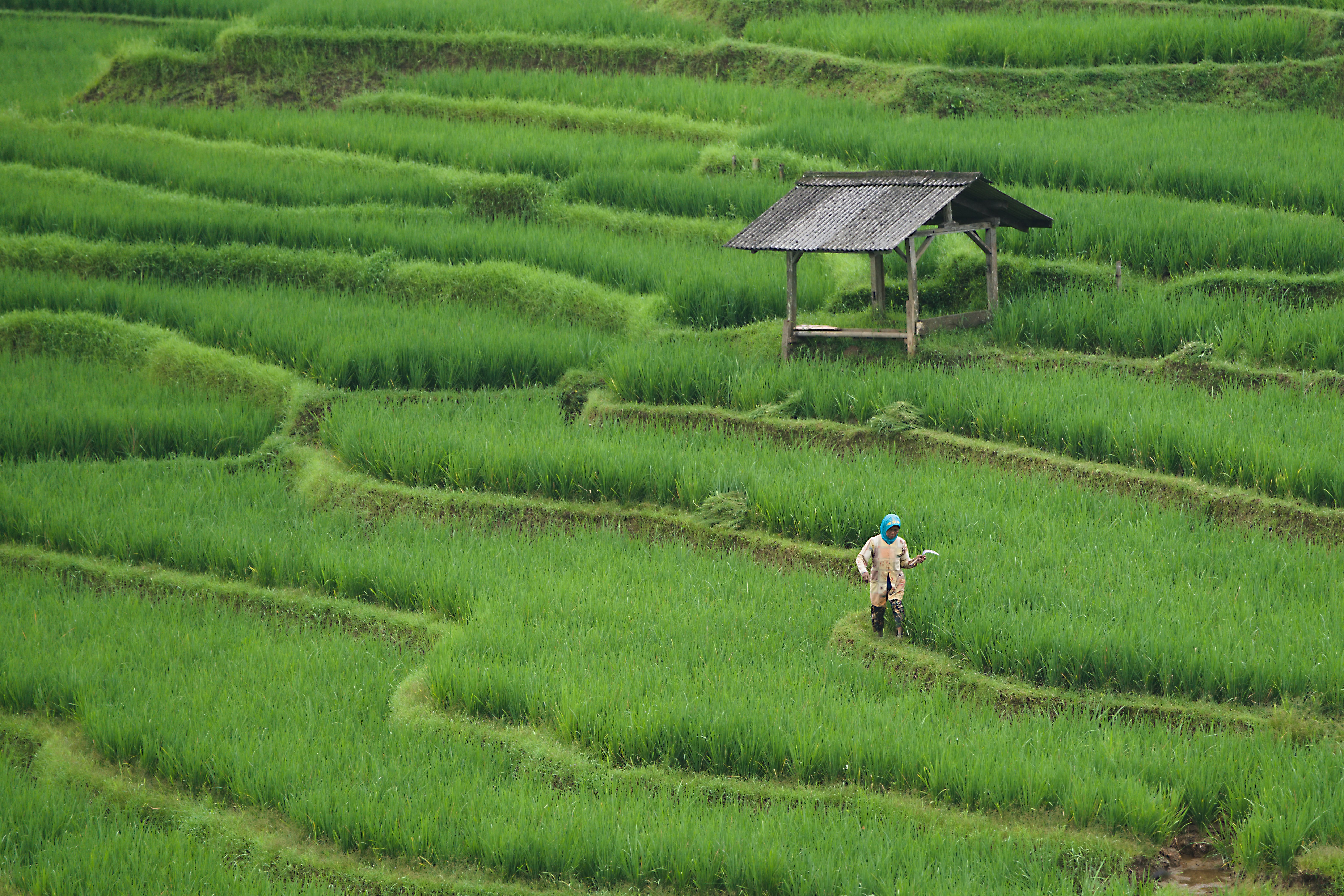 Top Modern Farming Tools Every Farmer Should Know
