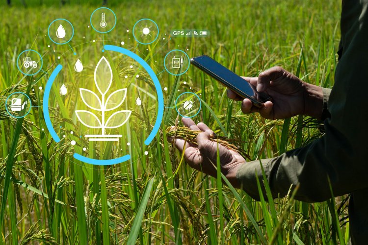Inside India’s Digital Agriculture Mission & AgriStack