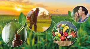 Biopesticides and Biofertilizers: Greener Crop Protection