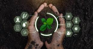 AI and Machine Learning: The Brains Behind Smart Farming