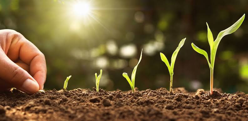 Precision Farming 101