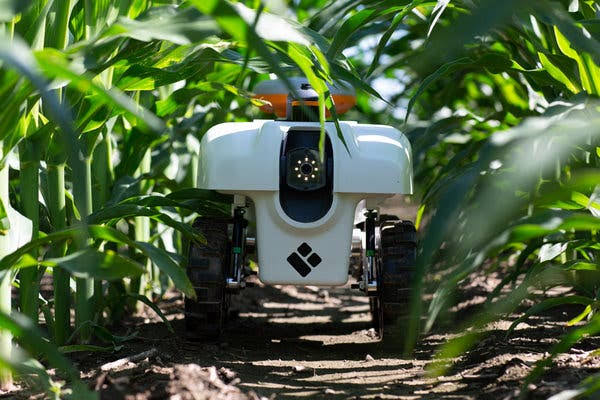 Small-Scale Farming, Big Tech: The Rise of Field Robotics in India