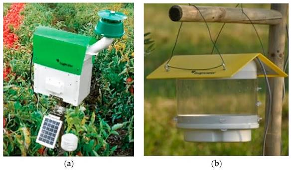 Smart Pest Management: Low-Cost Automated Insect Trapping