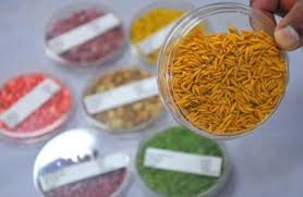 ICAR-IIOR Smart Seed Coating Boosts Crop Yields by 30%