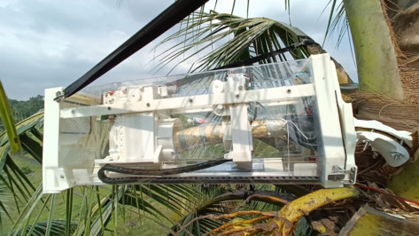 Meet SAPER: The World's First Robot Tapping Coconut Trees for Toddy