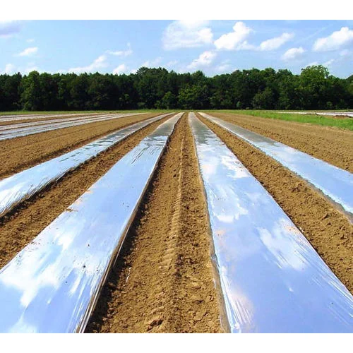 25 MICRON MULCHING 1 ROLE 3FTX400MTRS WITHOUT HOLE